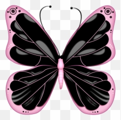 Black And Pink Transparent Butterfly Clipart Borboletas - And png