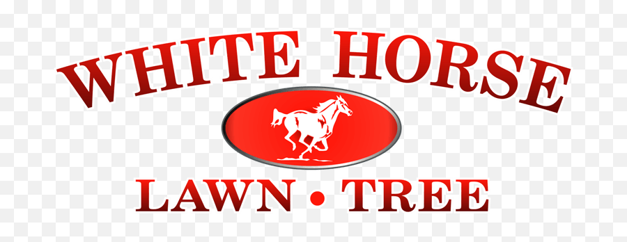 White Horse Lawn And Tree Landscaping Plymouth Ma - Language Png,Tree Logo