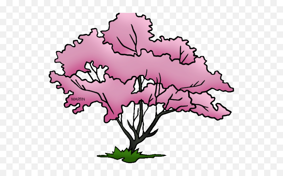 Pretty Clipart Dogwood Tree - Virginia State Tree Drawing Missouri State Tree Drawing Png,Tree Drawing Png