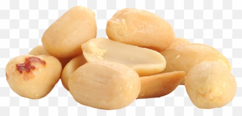 Peanut Raw Foodism Legume - Transparent Background Peanuts Png,Peanuts Png