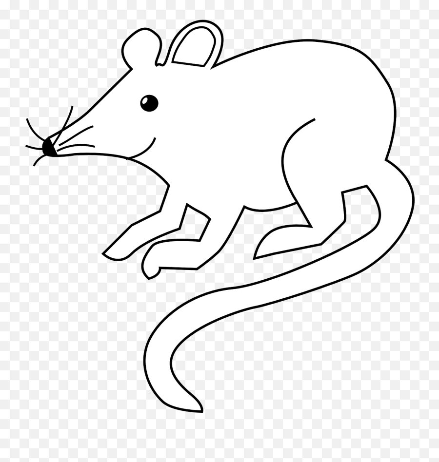Free Image - Mouse Rodent Rat Field Mouse Rat Black And White Png,Rodent Png