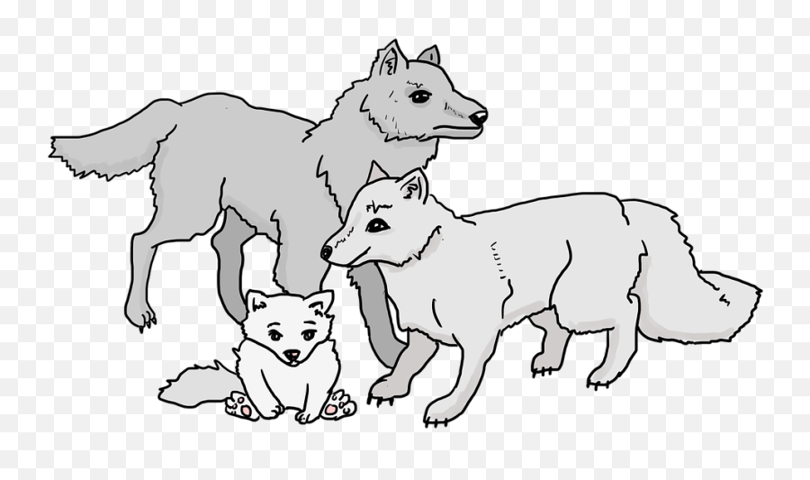 Wolf Cartoon Png - Wolves Cartoon Png,Wolf Cartoon Png