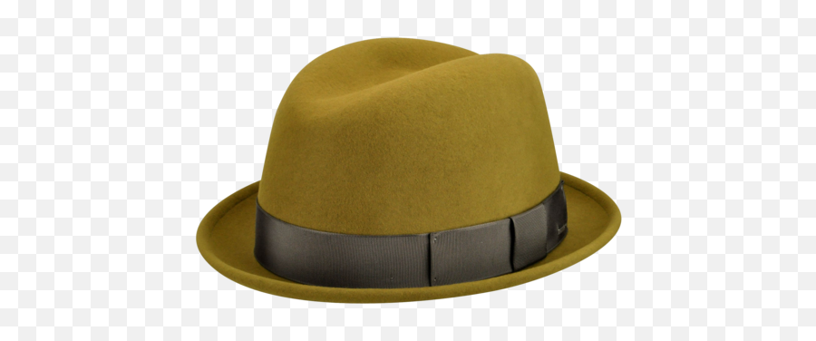 Download Hd Bailey Timson Citron Left Transparent Large V - Costume Hat Png,Fedora Hat Png