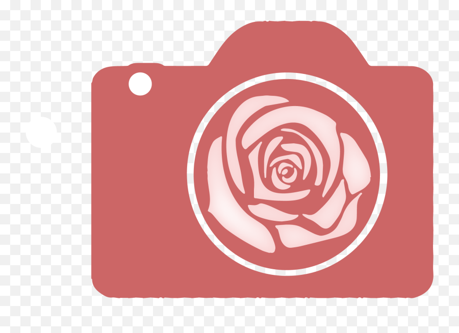 Hannah Rose Photography - Garden Roses Png,Icon And The Black Roses