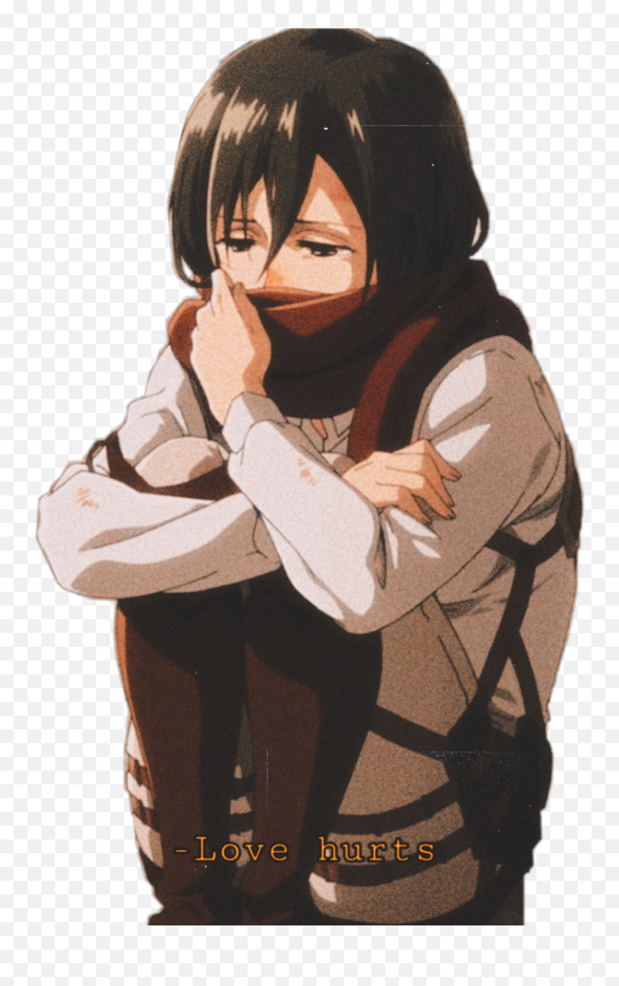 Mikasa Eremika Eren Mikasaacckerman Image By Likecozyy - Mikasa Ackerman Png,Anime Icon Tumblr