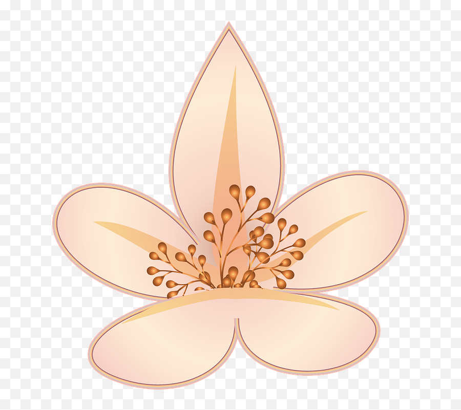 Flower Mughal Painting South Asian - Free Vector Graphic On Pakistani Mugal Flowers Png,Coffee Icon Magnolia