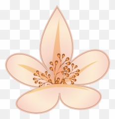 Flower Mughal Painting South Asian - Free vector graphic on Pakistani Mugal Flowers png