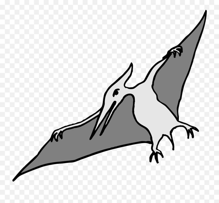 Pterodactyl Dinosaur Bird - Pterodactyl Clip Art Png,Pterodactyl Png