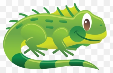 Iguana Clipart Png