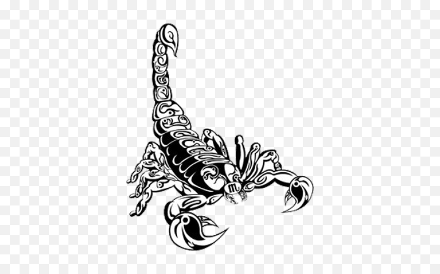 Scorpion Tattoos Png Transparent Images 18522 - Png Images Scorpio Black And White,Transparent Tattoos