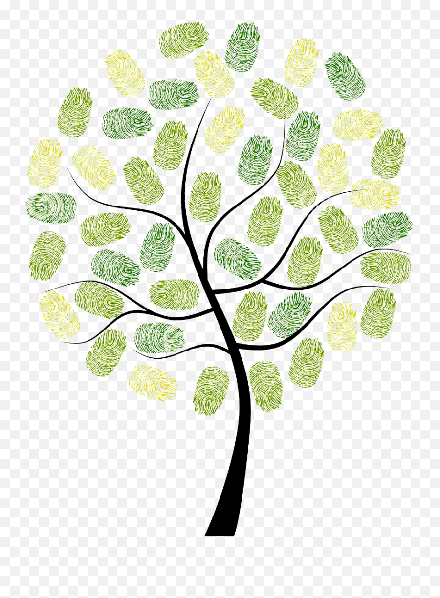 Fingerprint Owl Tree Digit Euclidean Vector - Arbol Huellas Vectores Png De Arboles,Arbol Png