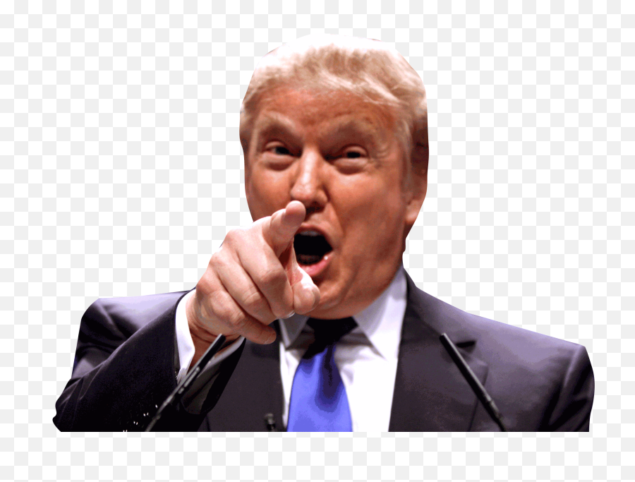 Donald Trump Png Download Image - Donald Trump Png,Trump Png