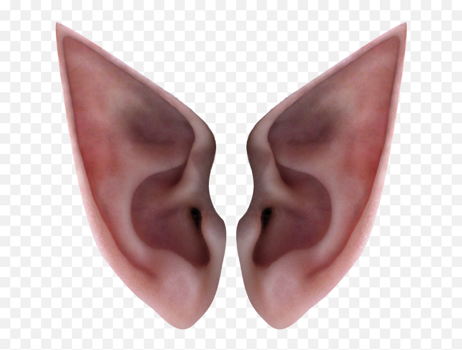 Ear Elf Icon - Transparent Elf Ears Png,Ear Transparent Background