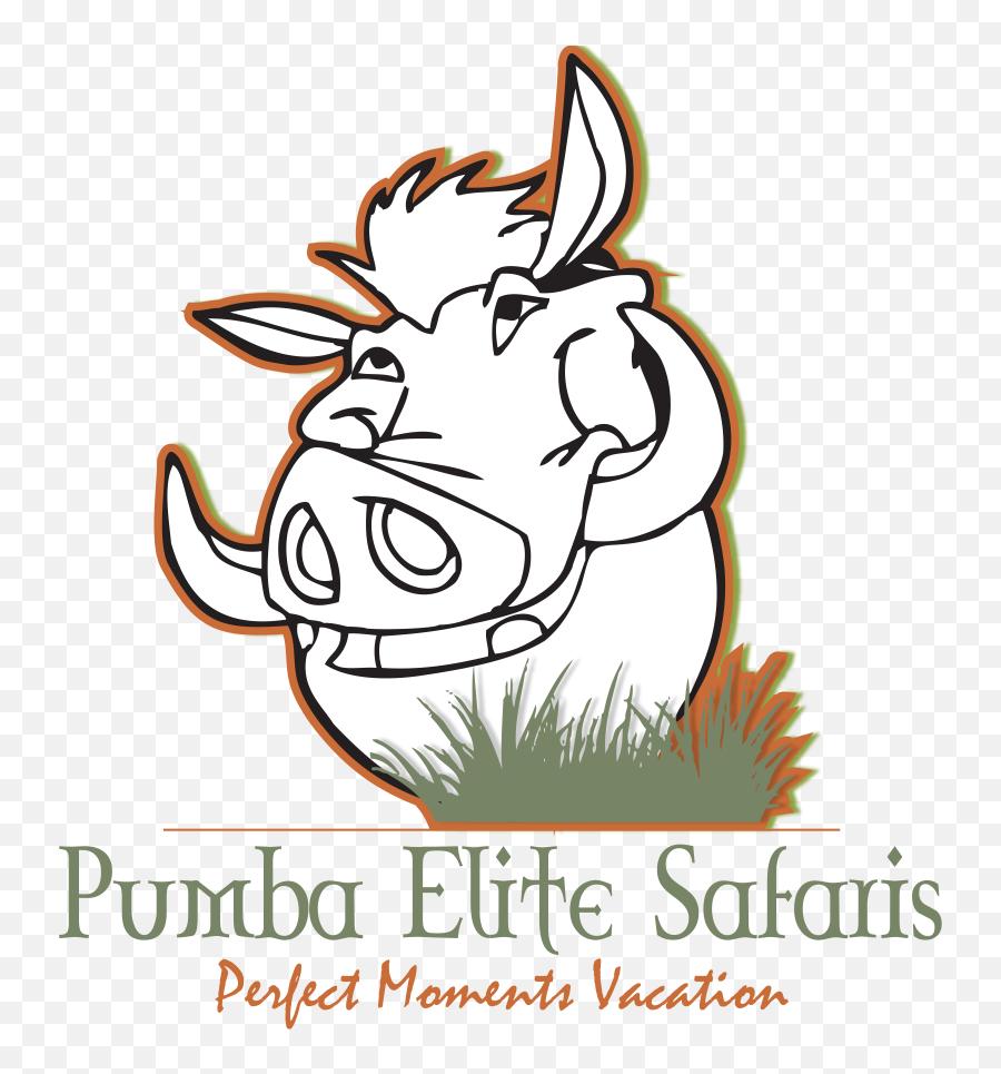 Pumba Elite Safaris Dnganga03 Twitter - Cartoon Png,Pumba Png