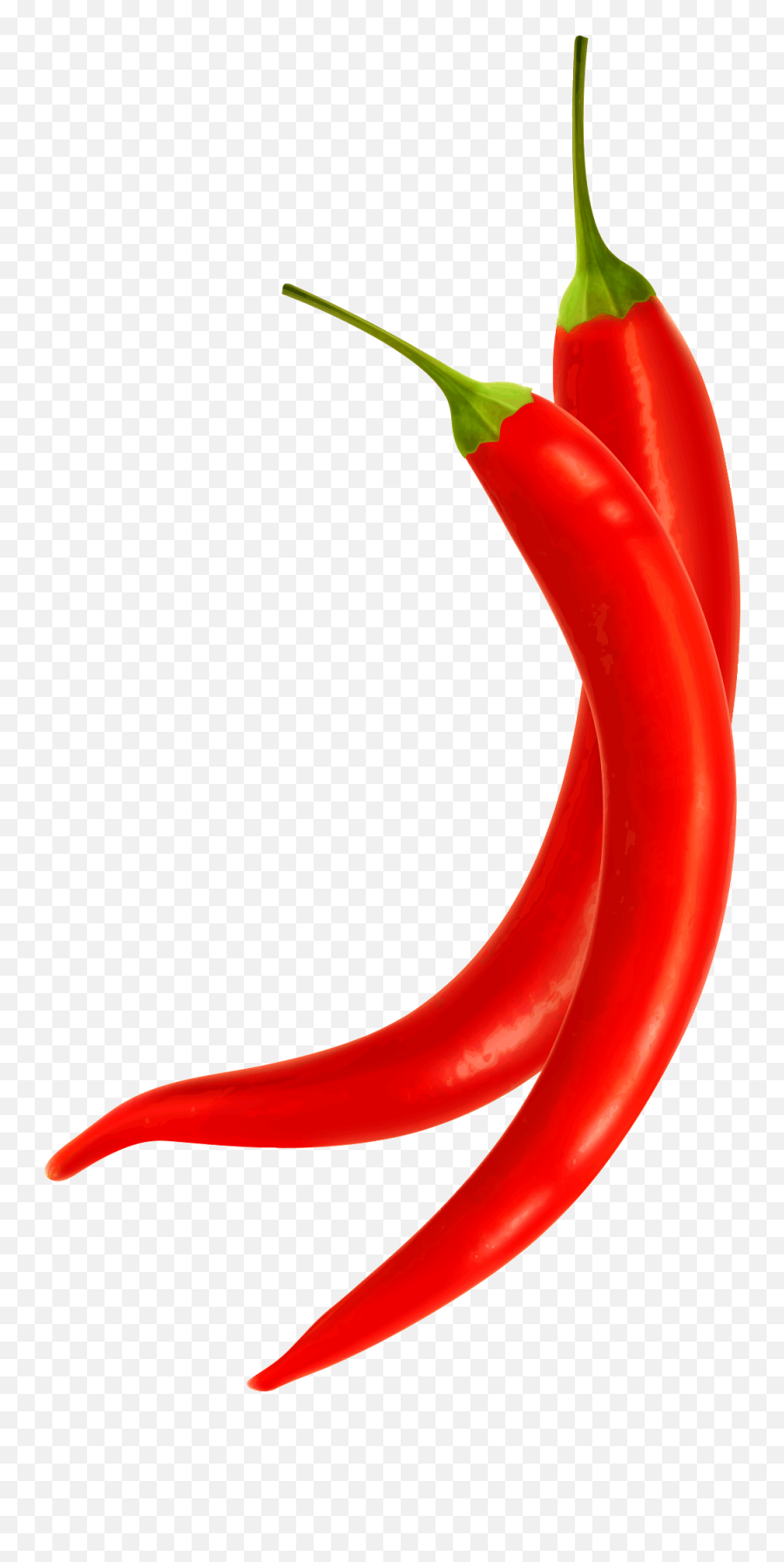 Hd Red Chili Png Image Free Download - Red Chilli Png,Chili Pepper Png