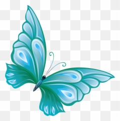 Butterfly Clipart Transparent - Background Png