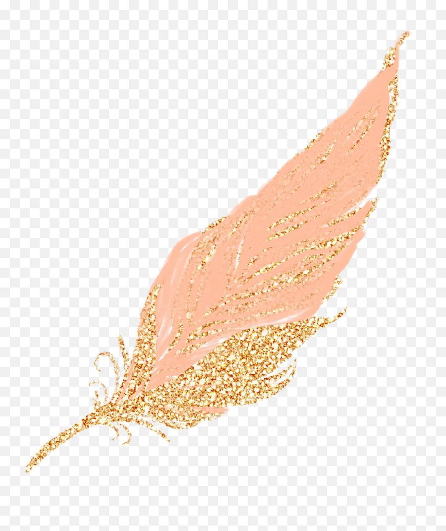Feathers Clipart Rose Gold - Gold Png,Rose Gold Png