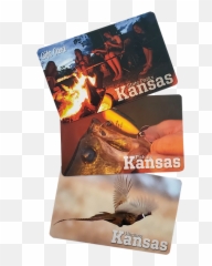 Gift Cards Licensepermits Kdwpt - Kdwpt Old World Flycatchers Png,Gift Cards Png