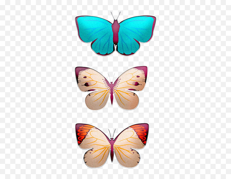 Butterflies Wings Insects - Girly Png,Butterfly Icon Image Girly