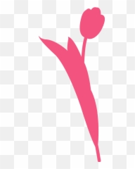 Tulip Flower Silhouette - Free Vector Silhouettes Creazilla Clip Art png