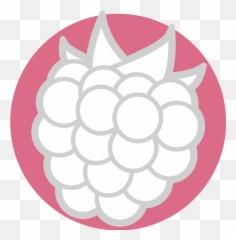 Nicotine Pouch Flavors - Decorative Png,Flavor Icon