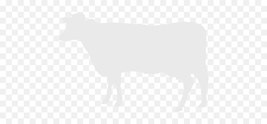 Bovine Silhouette Cow - Cow White Logo Png,Cattle Icon