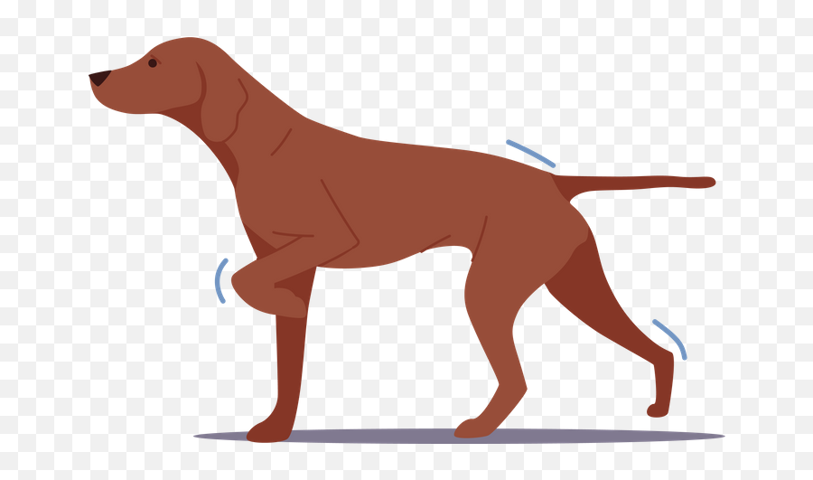 Aiming Archer Icon - Download In Glyph Style Pointing Dog Png,Spear Hunt Icon