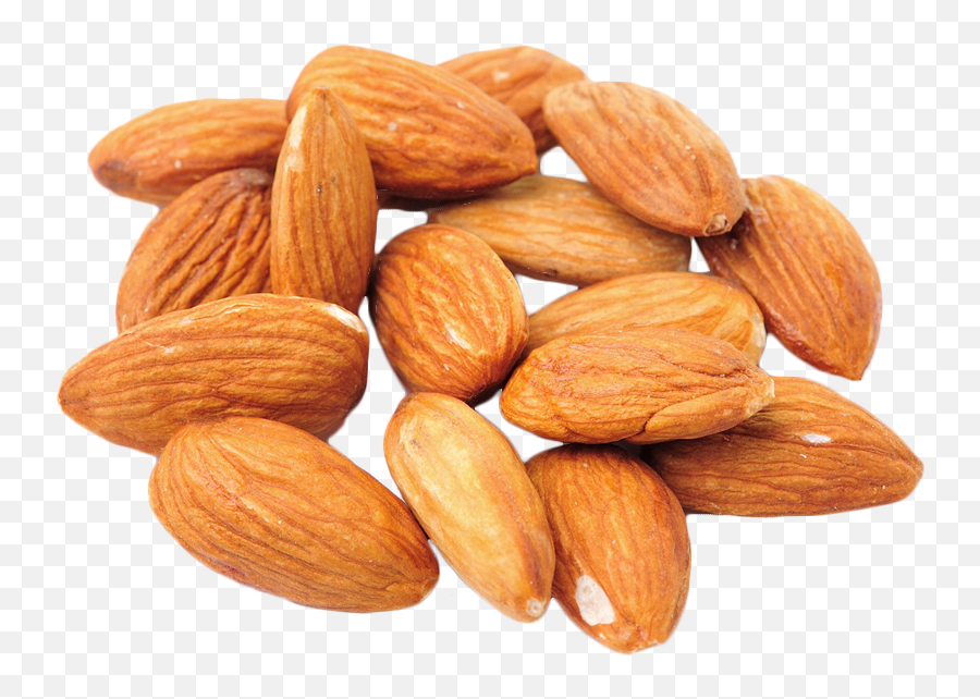Almond Dried Fruit Walnut Food - Almond Png,Walnut Transparent