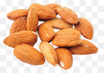 Almond Dried Fruit Walnut Food - Almond Png,Walnut Transparent