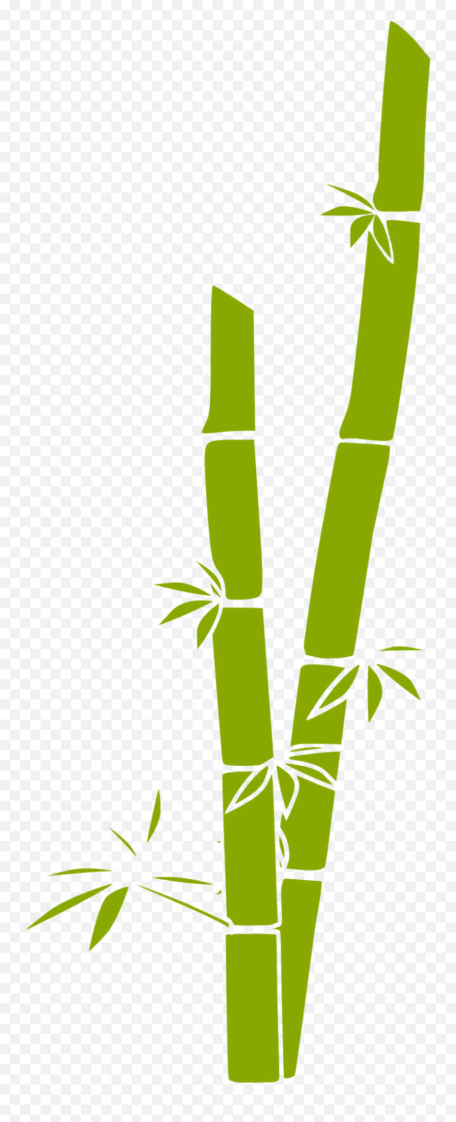 Japan Clipart Bamboo - Bamboo Clipart Png,Bamboo Leaves Png