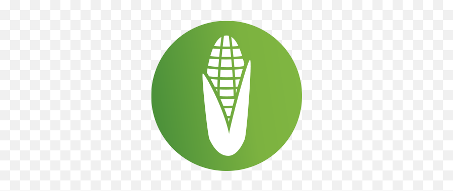 Apply Smarter With Application Technology From Amvac Png Corn Field Icon