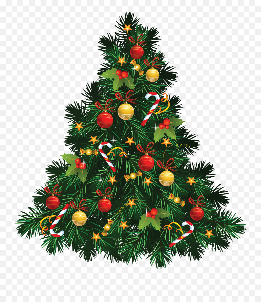 Fir Tree Christmas Transparent Png - Stickpng Christmas Tree Images Png,Pine Tree Transparent Background