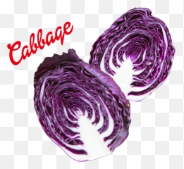 Cabbage Png Image
