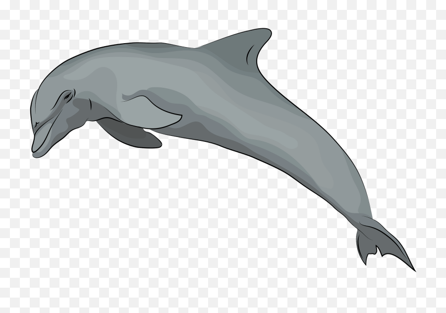 Dolphin Clipart - Dauphin Clipart Png,Dolphin Clipart Png