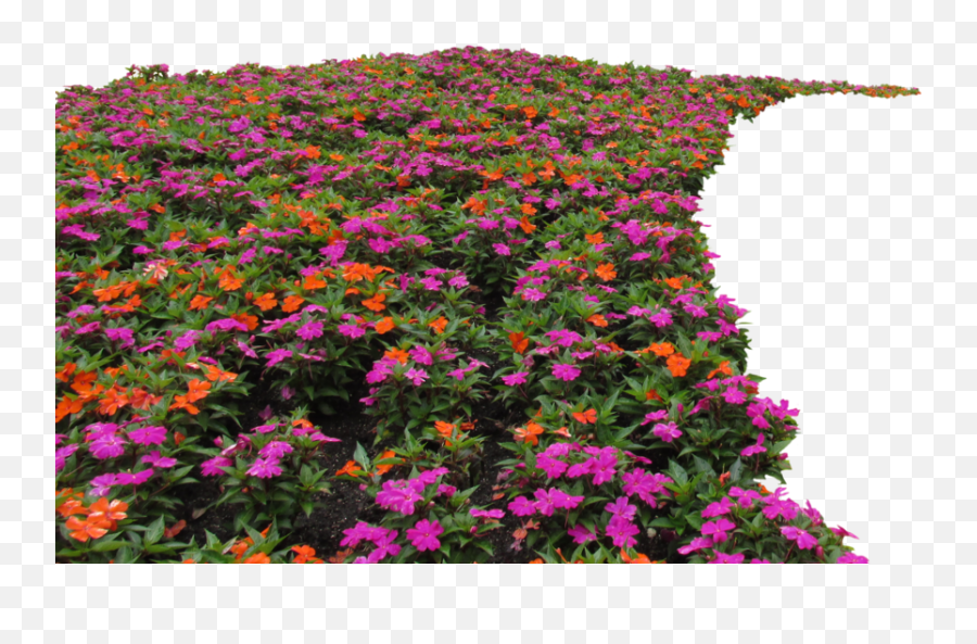 Flowerbed Vh Png Flower Bed