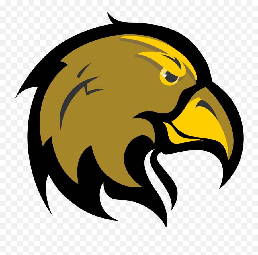 Cal State Los Angeles Golden Eagles - Wikipedia Cal State La Golden Eagle Png,Golden Eagle Png