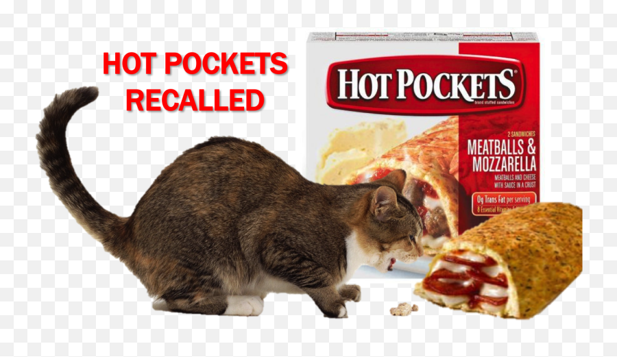 Pocket Png Hot
