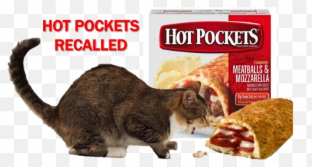 Pocket Png Hot