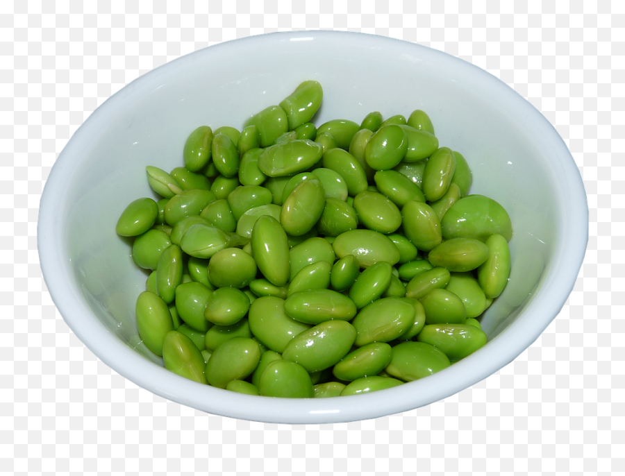 Green Bean Png - Edamame Bohnen,Bean Png
