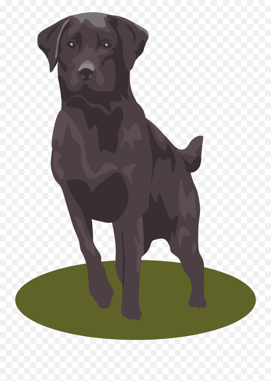 Library Of Boxer Dog Head Image Royalty Free Stock Png Files - Cartoon Black Lab Clipart,Dog Head Png