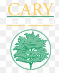 Dentistry From The Heart Video Abc News - Cary Family Dental png