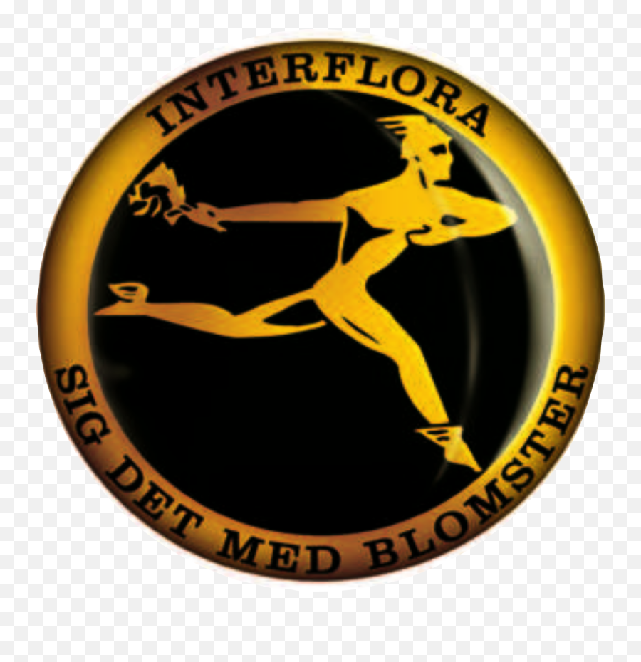File Golden Man With Flowers Logo Png Running Man Logo Free Transparent Png Images Pngaaa Com - golden man roblox