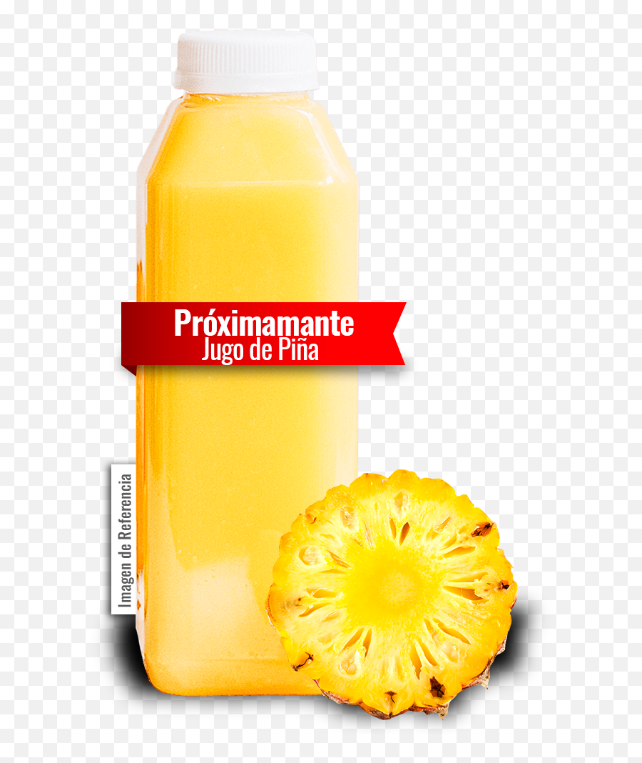 Download Hd Jugo De Piña Alinal - Orange Drink Transparent Empresa De Jugos De Piñas Png,Piña Png