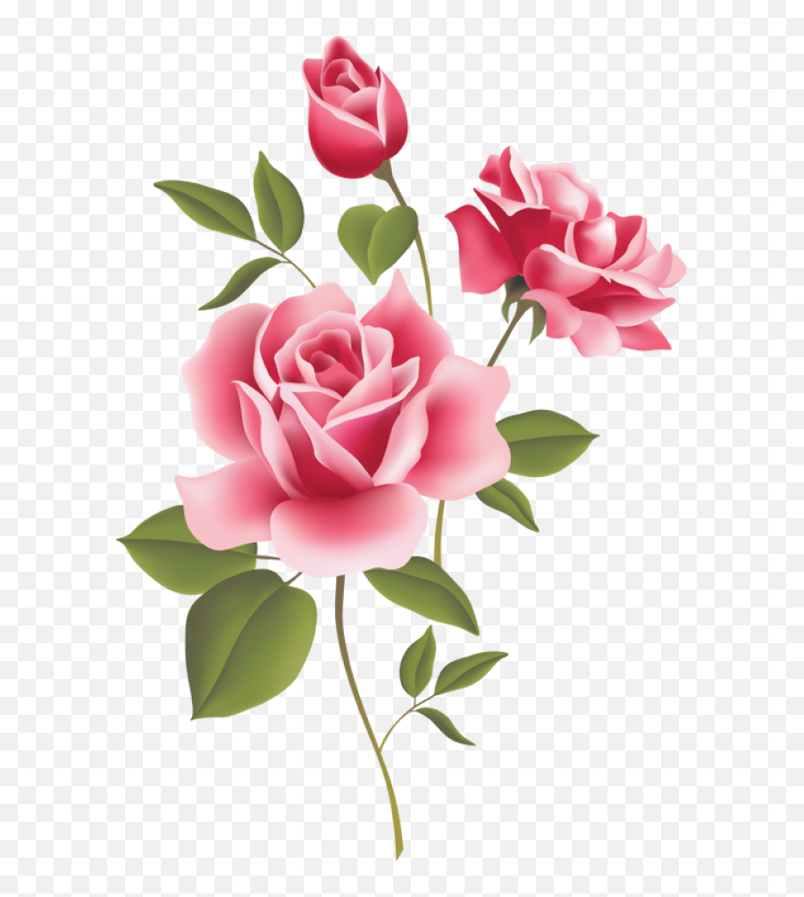3d Rose Live Clipart Download - Transparent Pink Roses Clipart Borders With Flowers Png,Pink Roses Png