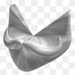 White Beard - Roblox png
