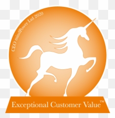 Mindpower Exceptional Customer Value Ecv Program U2014 Ceo - Stallion Png,White Circle Png