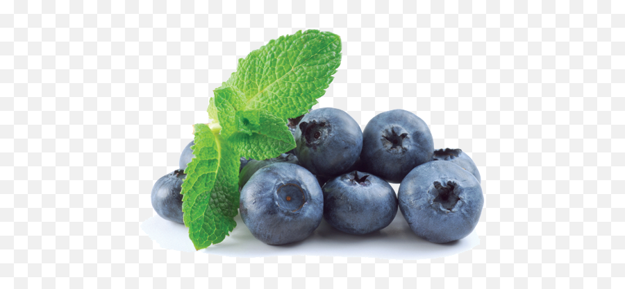 Download Blueberry Transparent Png - Blueberry Transparent Png,Blueberry Transparent Background