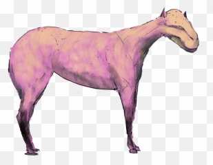 Mustang Horse Transparent Png Image - Mare