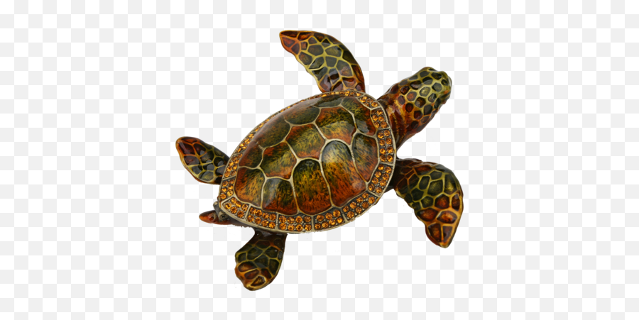 Download Loggerhead Sea Turtle Pewter - Hawksbill Sea Turtle Png,Sea Turtle Png