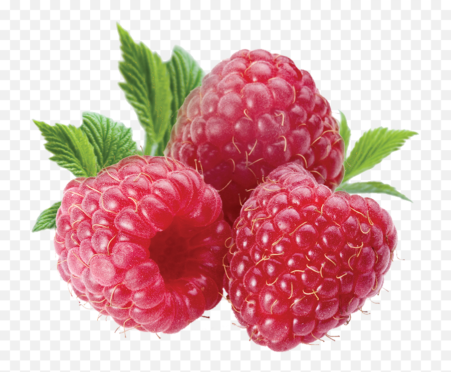 Raspberry Mix - Raspberries Transparent Background Png,Raspberry Png